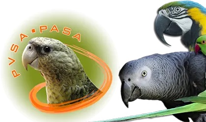 PASA / PVSA